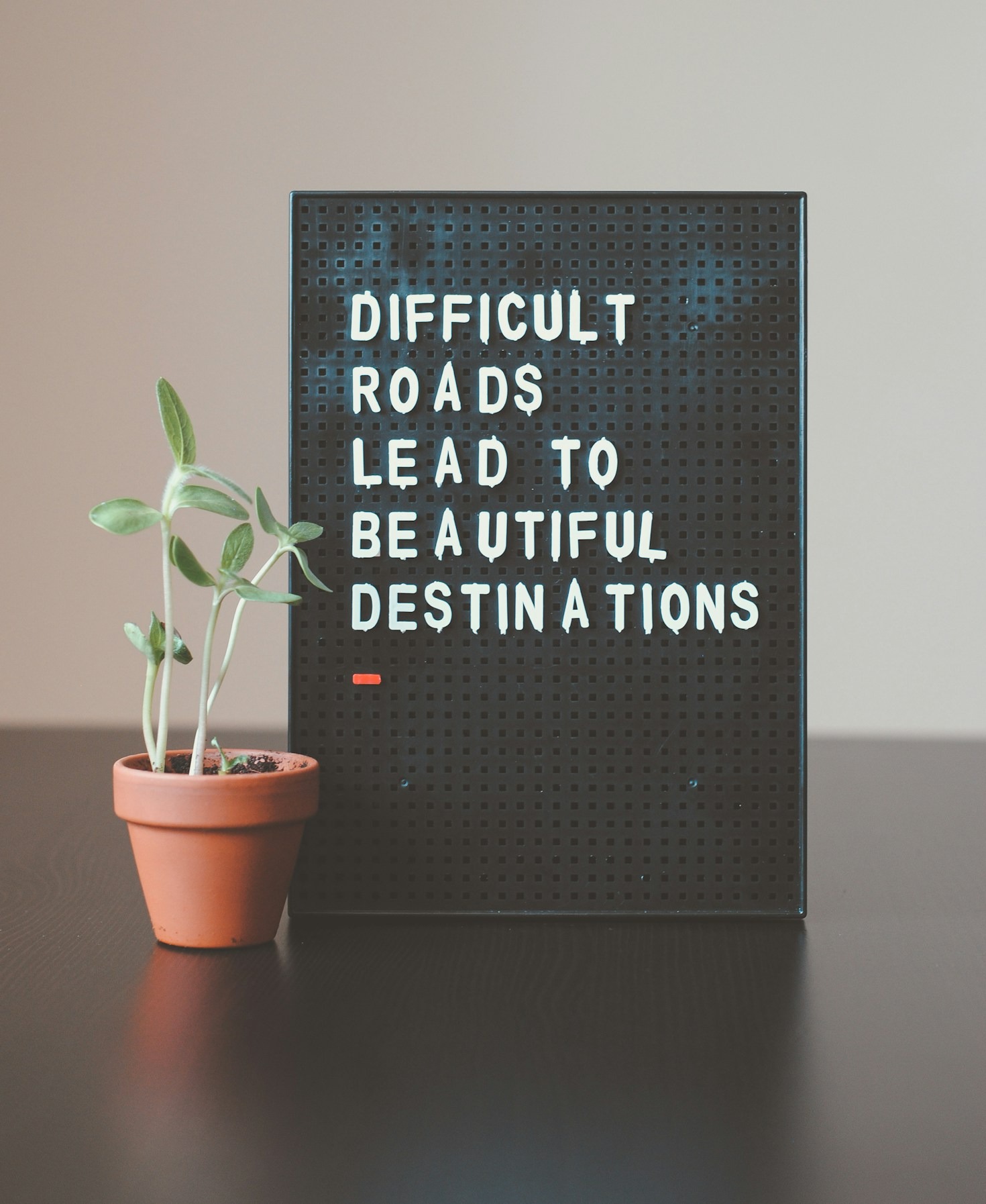 Why Personalized Coaching is Essential for Success